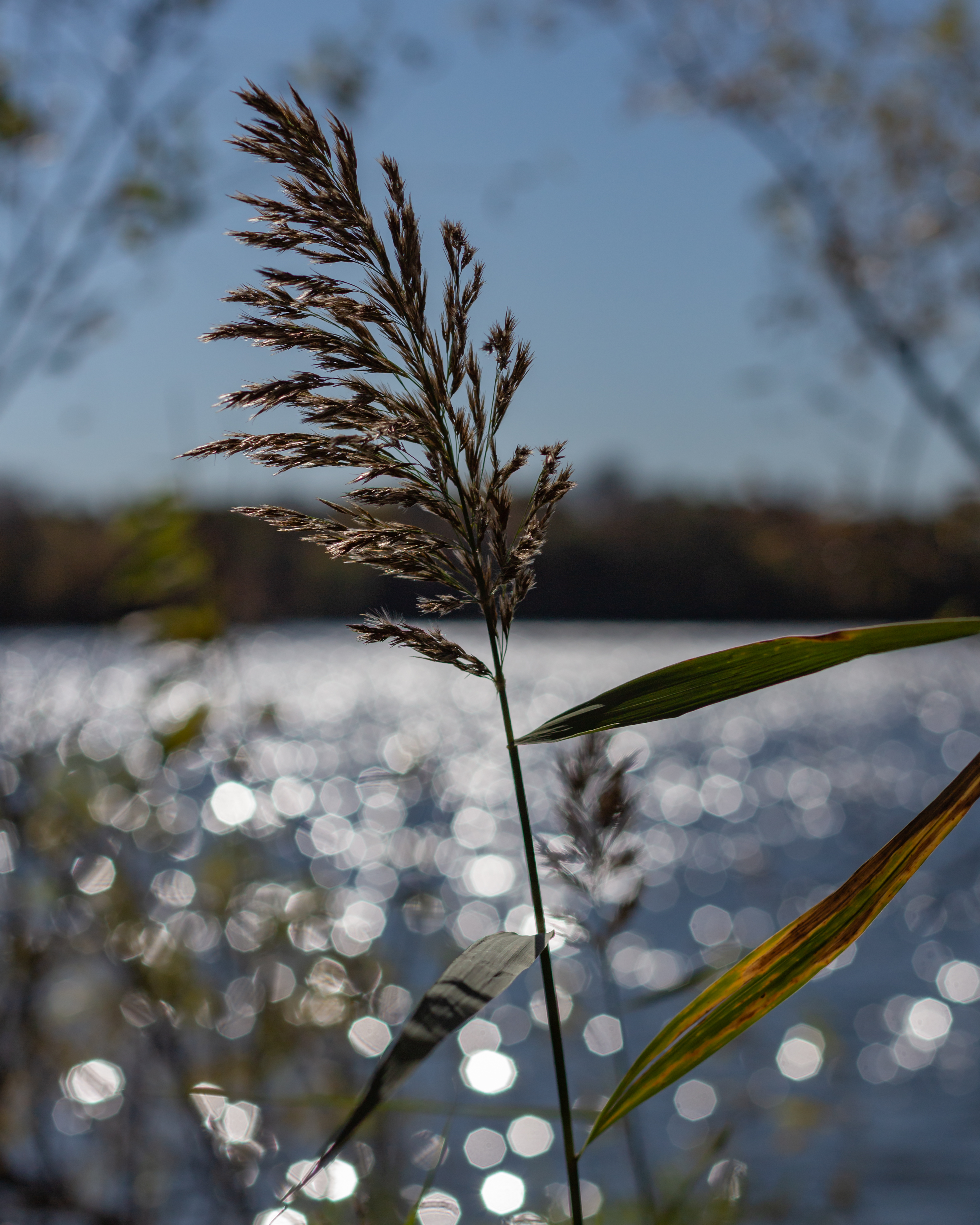 Photography by Green Sloth Productions